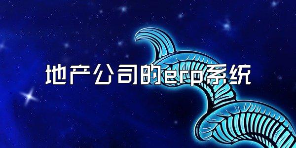 地产公司的erp系统