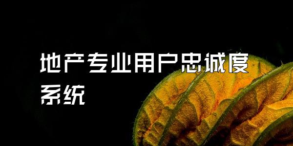 地产专业用户忠诚度系统