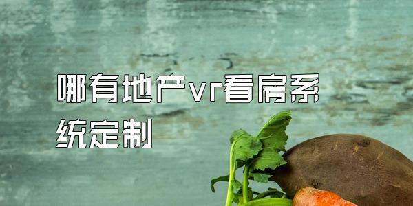 哪有地产vr看房系统定制