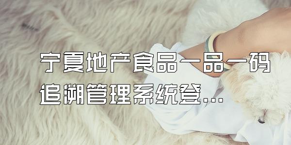 宁夏地产食品一品一码追溯管理系统登录入口