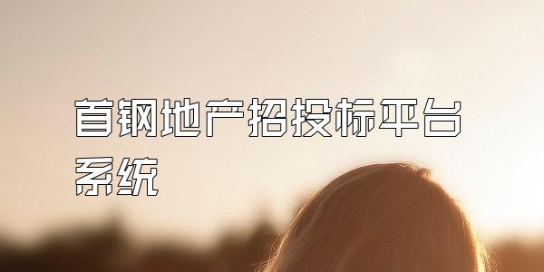 首钢地产招投标平台系统