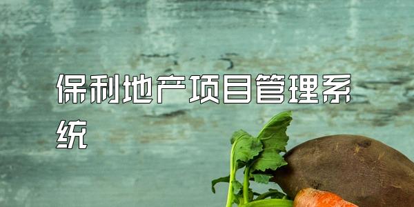 保利地产项目管理系统