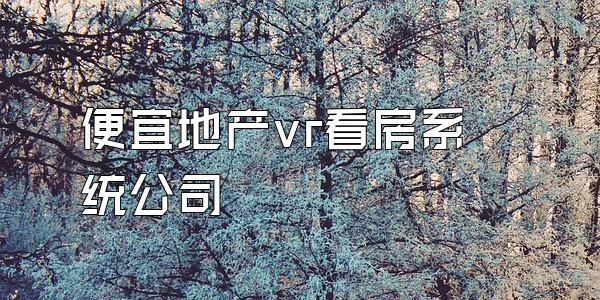 便宜地产vr看房系统公司