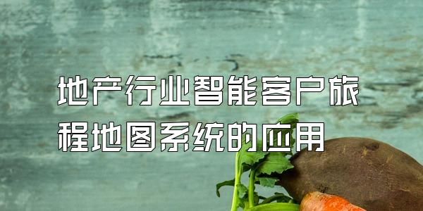 地产行业智能客户旅程地图系统的应用