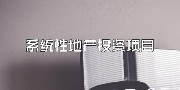 系统性地产投资项目