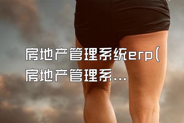 房地产管理系统erp(房地产管理系统er图)