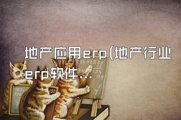地产应用erp(地产行业erp软件)
