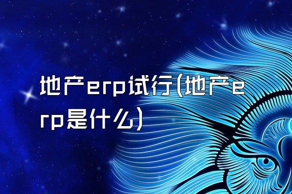 地产erp试行(地产erp是什么)
