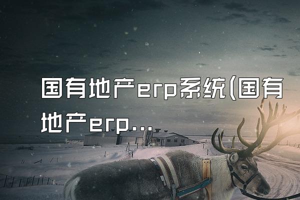 国有地产erp系统(国有地产erp系统官网)
