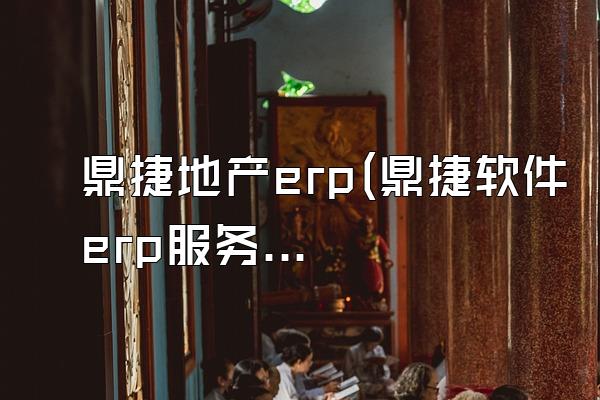 鼎捷地产erp(鼎捷软件erp服务顾问怎么样)