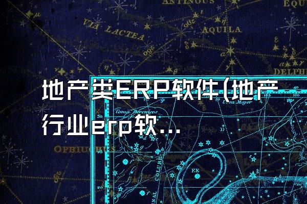 地产类ERP软件(地产行业erp软件)