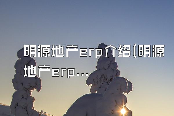 明源地产erp介绍(明源地产erp介绍怎么写)