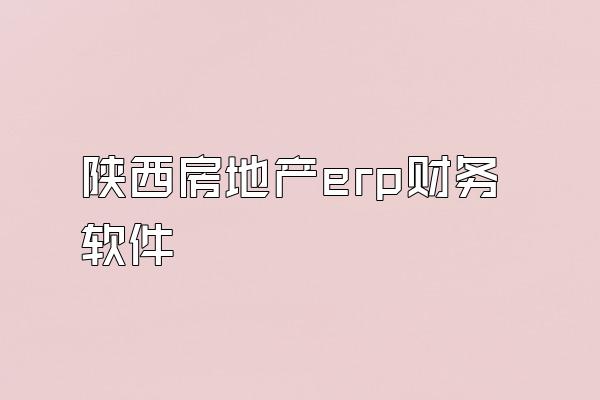 陕西房地产erp财务软件