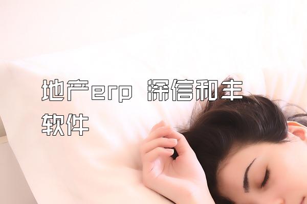 地产erp 深信和丰软件