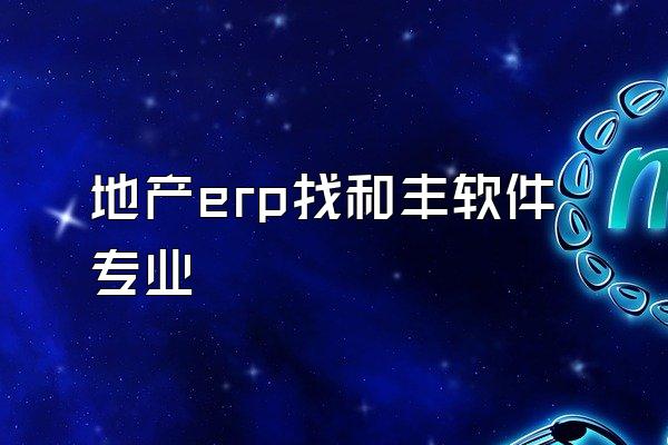 地产erp找和丰软件专业