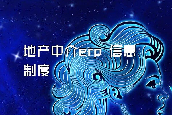 地产中介erp 信息制度