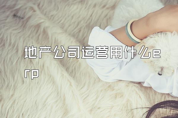 地产公司运营用什么erp