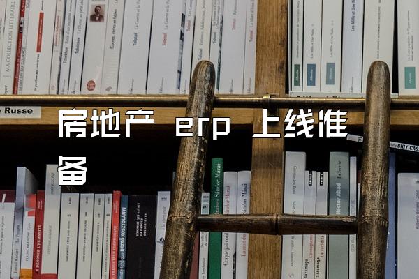 房地产 erp 上线准备