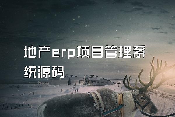 地产erp项目管理系统源码