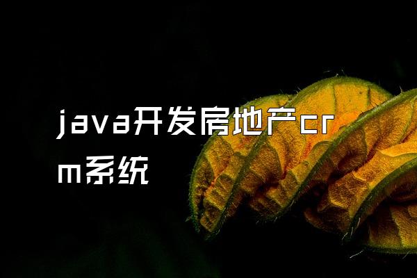 java开发房地产crm系统