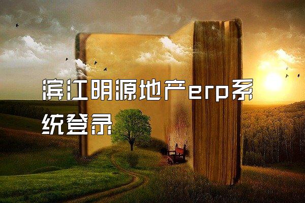 滨江明源地产erp系统登录