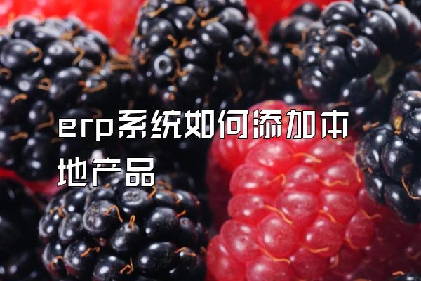 erp系统如何添加本地产品