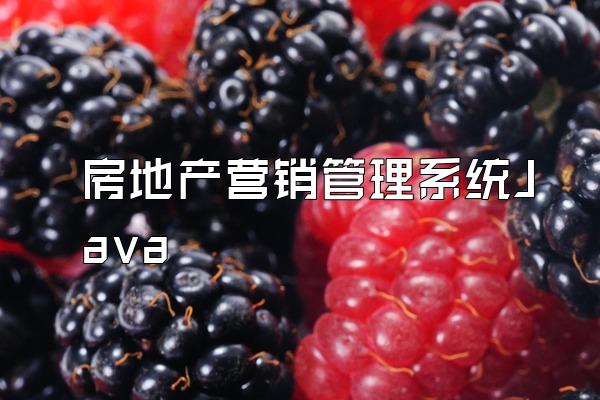 房地产营销管理系统Java