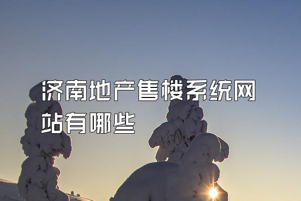 济南地产售楼系统网站有哪些