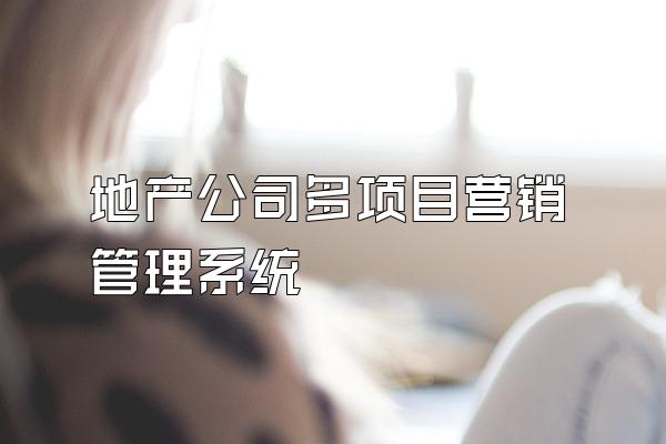 地产公司多项目营销管理系统