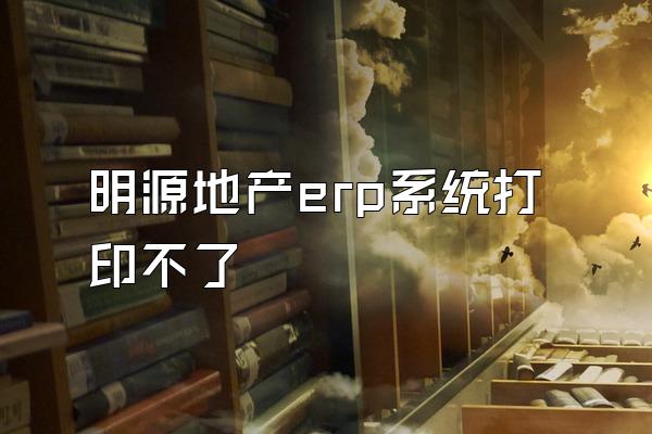 明源地产erp系统打印不了