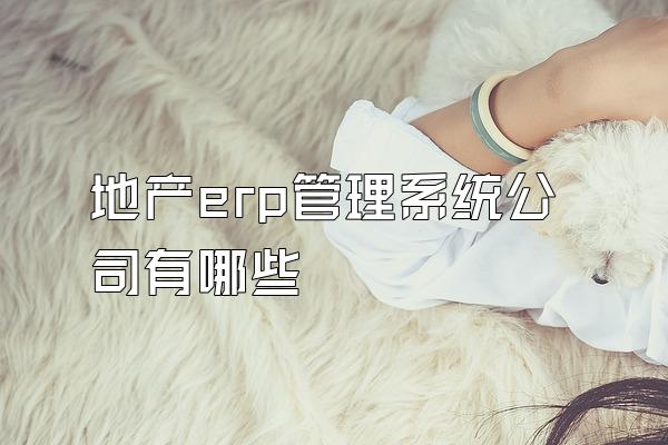 地产erp管理系统公司有哪些