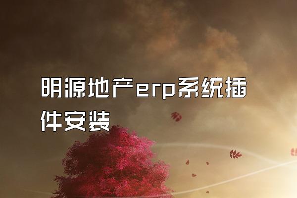 明源地产erp系统插件安装