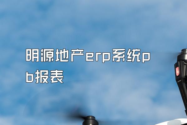 明源地产erp系统pb报表