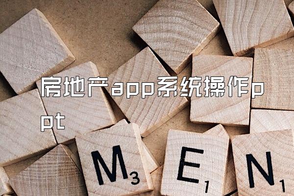 房地产app系统操作ppt