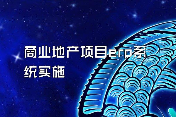 商业地产项目erp系统实施