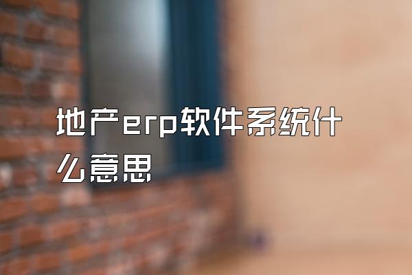 地产erp软件系统什么意思
