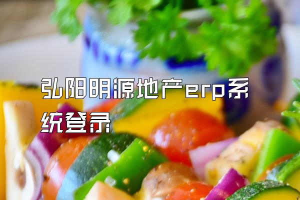 弘阳明源地产erp系统登录