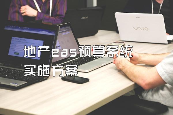 地产eas预算系统实施方案