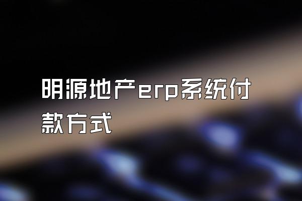 明源地产erp系统付款方式