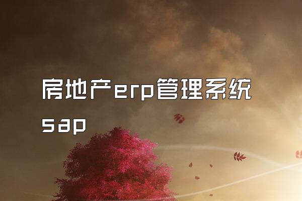 房地产erp管理系统 sap