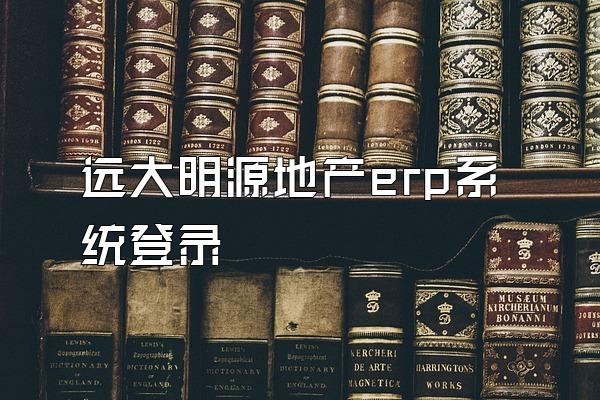 远大明源地产erp系统登录
