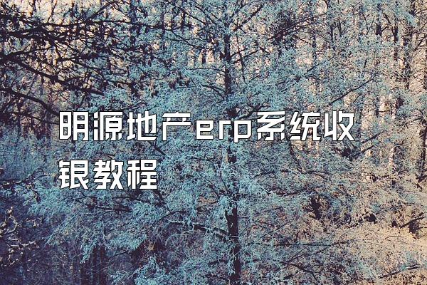 明源地产erp系统收银教程