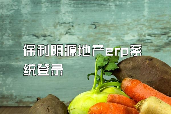 保利明源地产erp系统登录