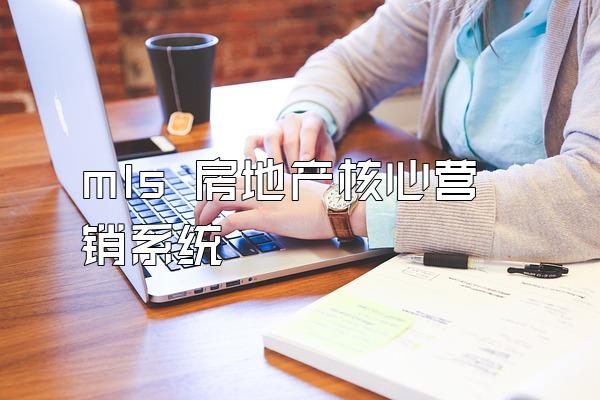 mls 房地产核心营销系统