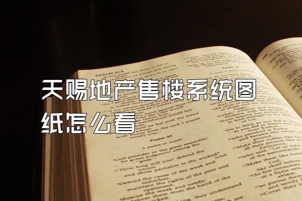天赐地产售楼系统图纸怎么看
