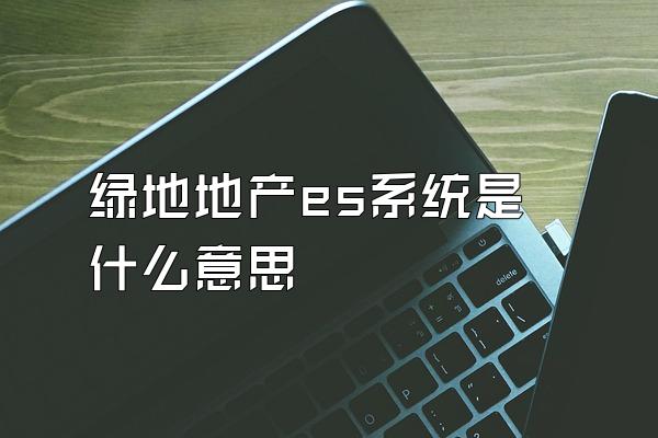 绿地地产es系统是什么意思