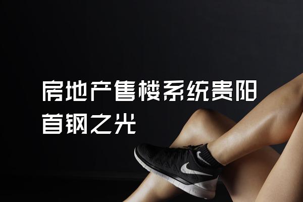 房地产售楼系统贵阳首钢之光