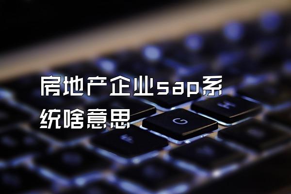 房地产企业sap系统啥意思