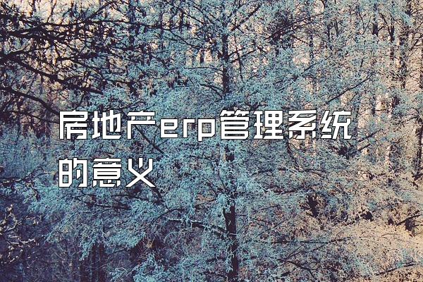 房地产erp管理系统的意义