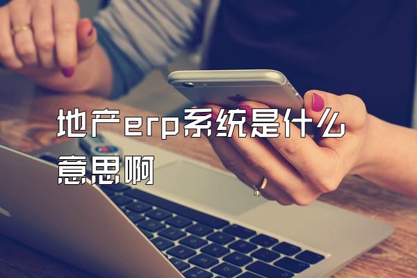 地产erp系统是什么意思啊